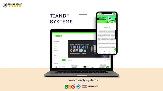 Tiandy System
