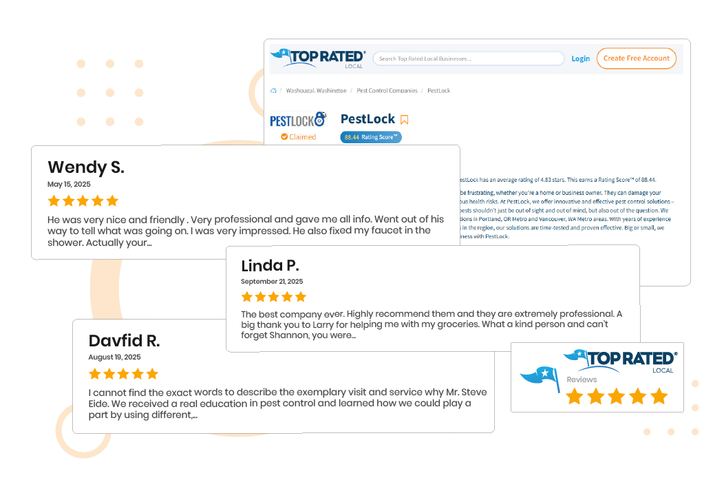  Why Your Business Needs Top Rated Local Reviews