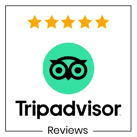 TripAdvisor Reviews