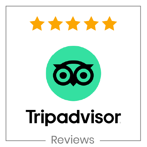 TripAdvisor Reviews